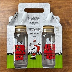 Peanuts Sipper with Straw 2 pack, Snoopy on Dog House with Christmas Lights NEW